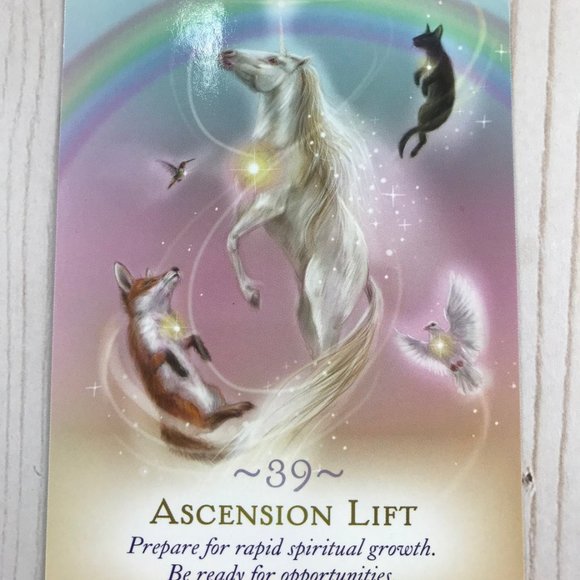 The Magic of Unicorns Oracle Cards - Picture 3 of 3